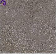 موزاییک صاف گرانیتی  30*30 پارسیان(کد MP126c)